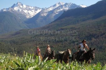 Guiding with confidence as a Wilderness Horseback Guide