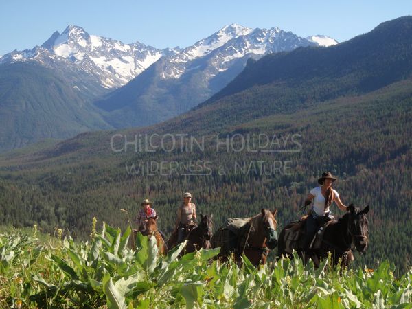 Guiding with confidence as a Wilderness Horseback Guide