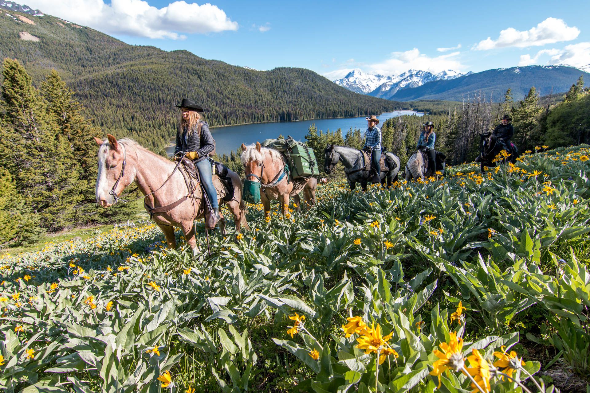 Chilcotin Holidays Guest Ranch - Wilderness & Nature