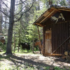 Big Creek Cabin